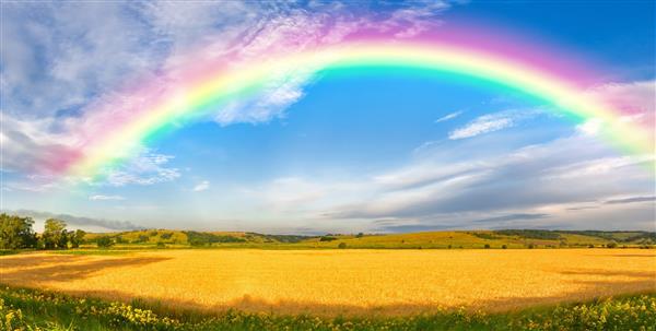 rainbow rainbow