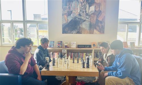 Chess in Library